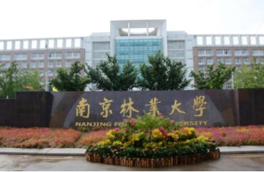 2022年南京林業(yè)大學(xué)MPAcc學(xué)費(fèi)學(xué)制及招生人數(shù)一覽